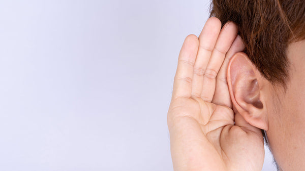 Insight #1: Hair Cells & Damaged Hearing