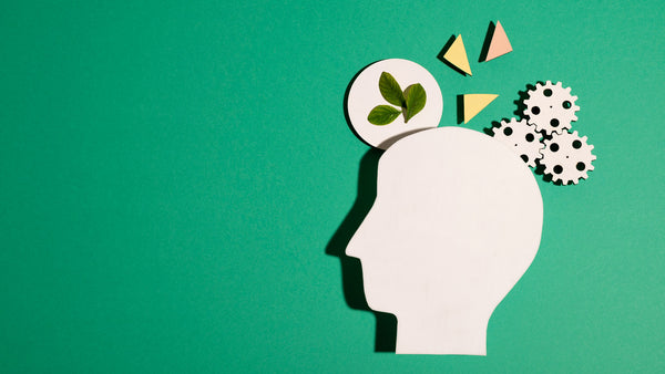 Insight #11: Improve Performance With Mental Preparation