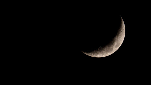 Insight #6: How Sleep Affects Performance